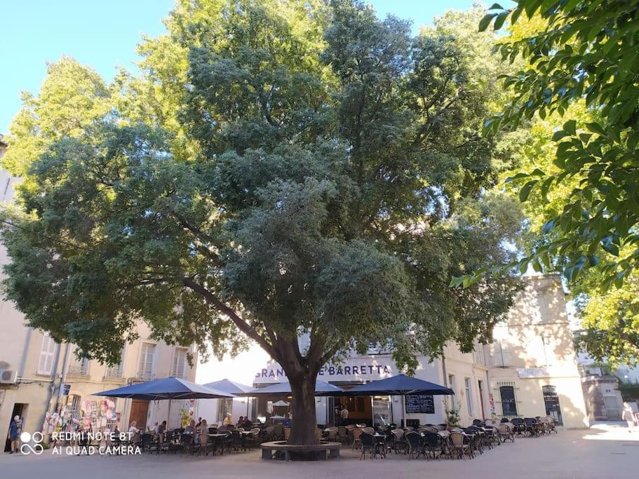 Bel Appartement Dans Centre Historique Avignon Exteriör bild